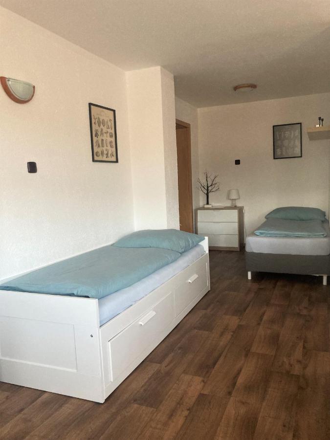 Apartman Stankov Экстерьер фото